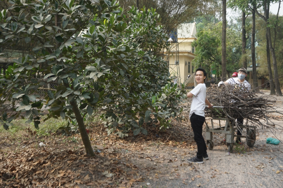 gallery navigation image