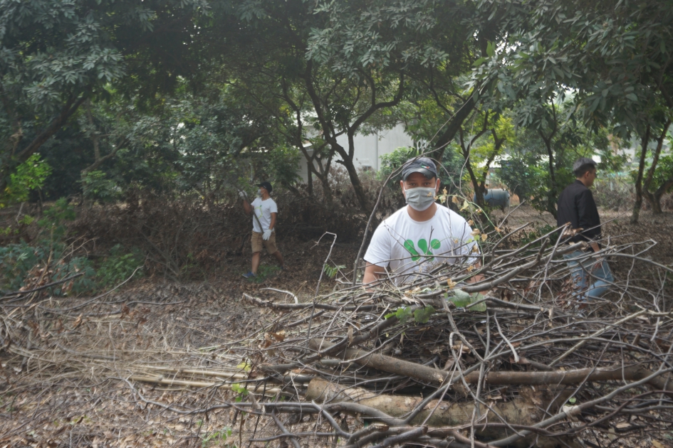 gallery navigation image