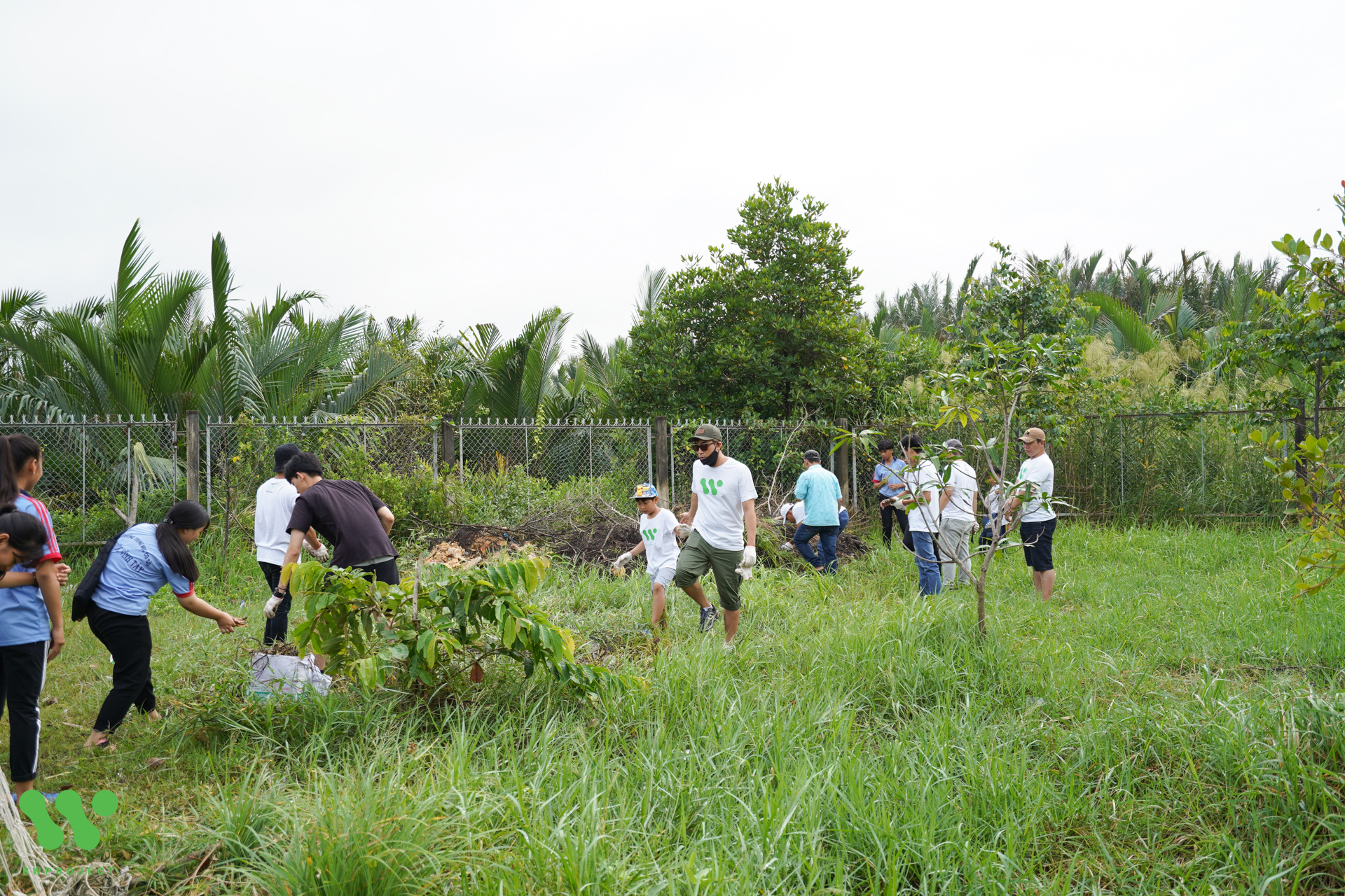 gallery navigation image