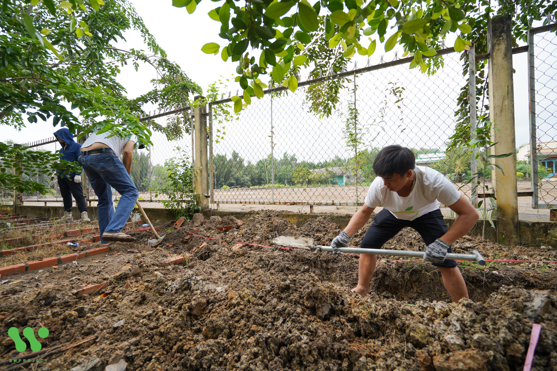 gallery navigation image