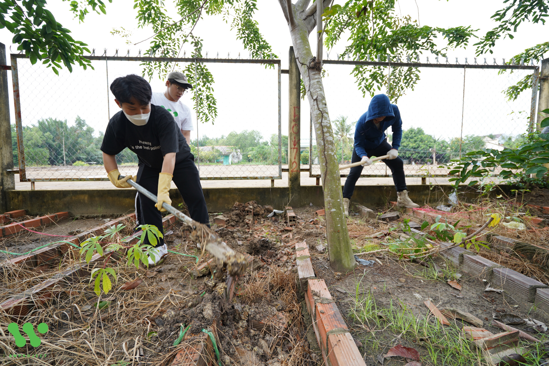 gallery navigation image