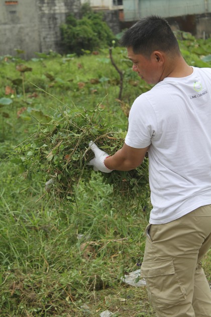 gallery navigation image