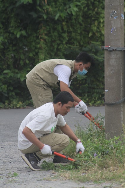 gallery navigation image