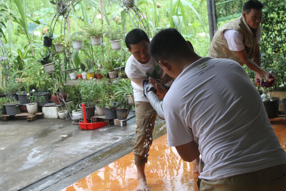 gallery navigation image