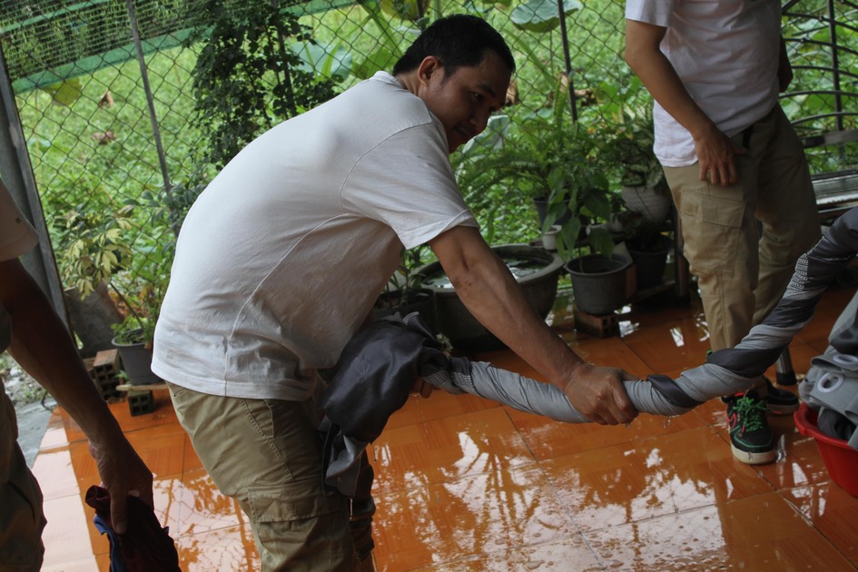 gallery navigation image