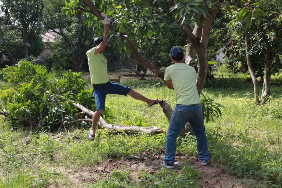 gallery navigation image