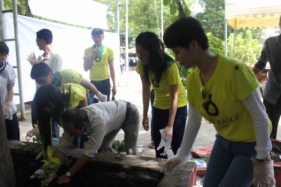 gallery navigation image